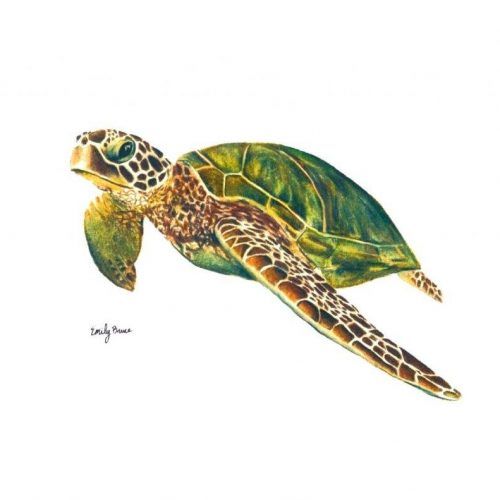 Sea Turtle Metal Wall Art (Photo 20 of 20)