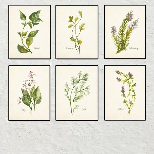 Framed Botanical Art Prints (Photo 8 of 15)