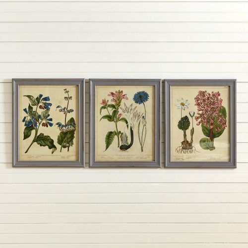 4 Piece Wall Decor Sets By Charlton Home (Photo 7 of 20)